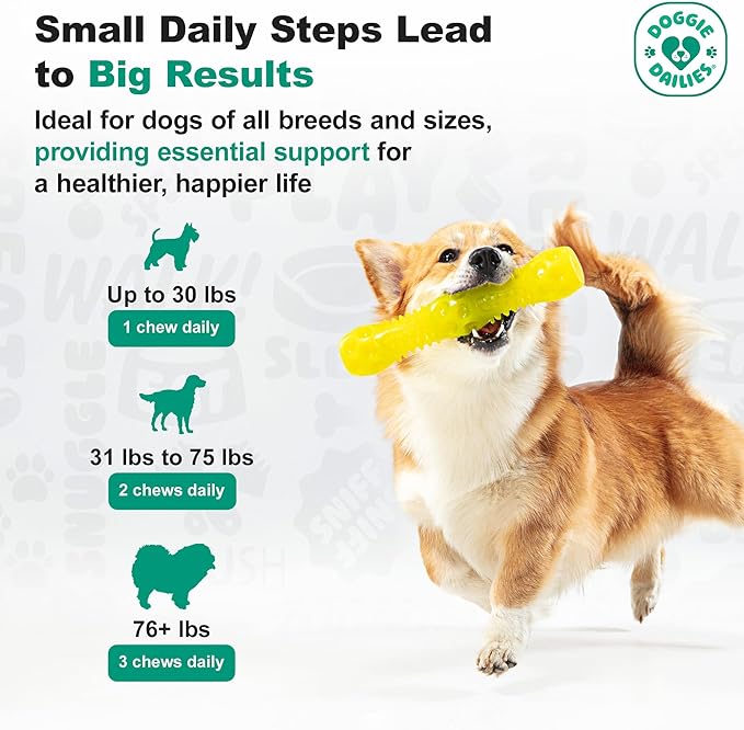 Doggie Dailies, Advanced Senior Hip and Joint Supplement for Dogs, Glucosamine Chondroitin, Premium Hip and Joint Chews for Dogs All Breeds & Sizes, Dog Vitamins and Supplements, (Duck) 120 Chews