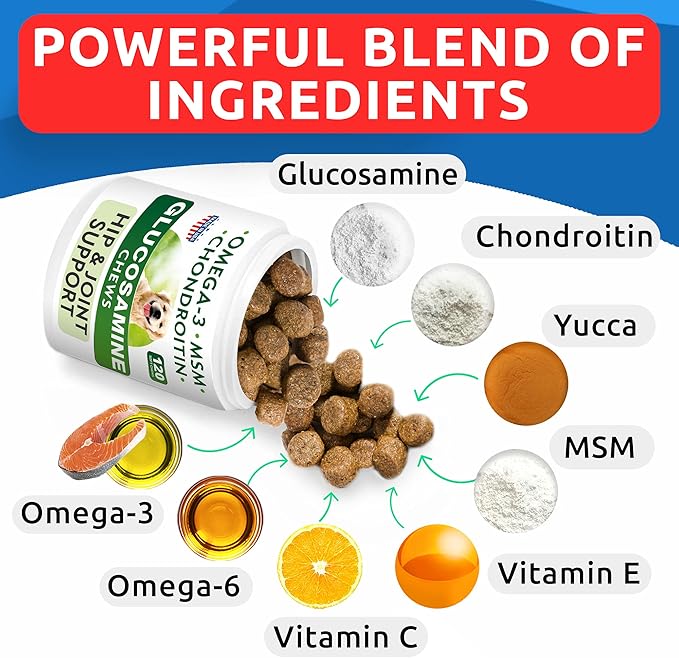 Glucosamine Chondroitin Dog Hip & Joint Supplement - Joint Pain Relief - Hip & Joint Chews for Dogs - Joint Support Large Breed - Senior Doggie Vitamin Pills Joint Health - (240 Treats - Chicken)