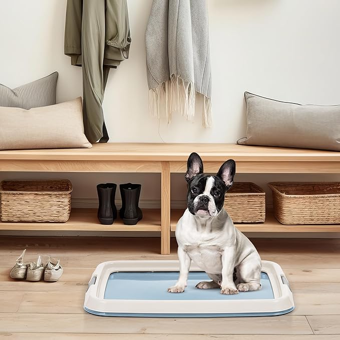 IRIS USA Pee Pad Holder - For Small Sized Dog and Puppy Pee Pads, Secured Latches, Non-Skid Feet, High Polish Finish for Easy Cleaning, Leak Protection, Fits 17"x23" Pad, Blue