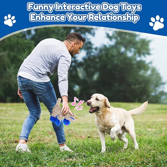 Squeaky Dog Toys, Plush Chew Toys for Dogs, Crinkle Interactive Squeaky Stuffed Dog Toy for Small Medium Large Breeds, Dog Toy to Keep Them Busy, Pet Toys for Dogs