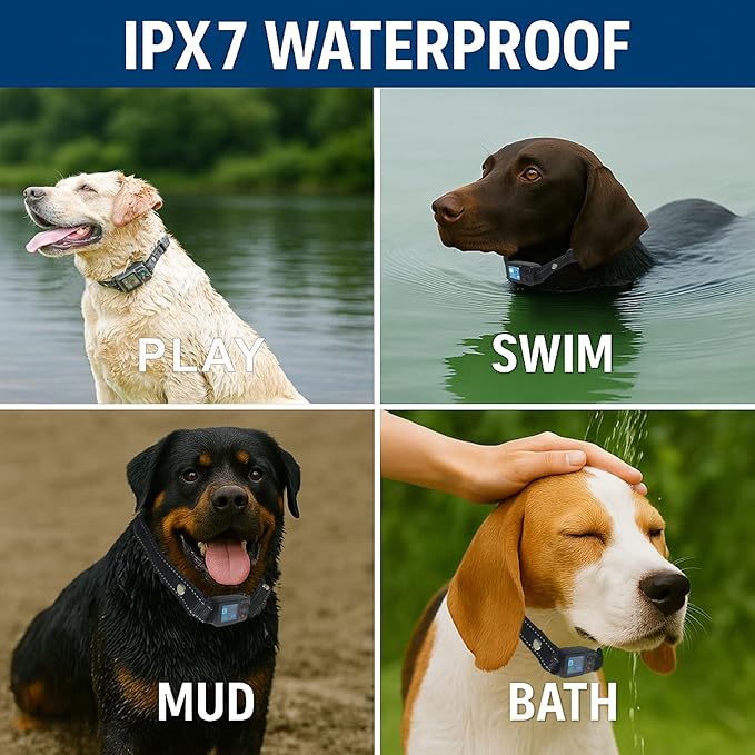 GPS Wireless Electric Dog Fence – Circular Wireless Dog Fence System for Dogs with Early Warning Beep & Auto-Protection, Quick-Charge Collar, 6561ft Range, Waterproof, 3 Modes, Outdoor Use Only