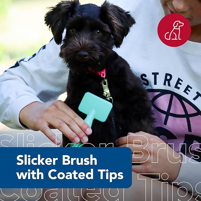 Coastal Pet Li'l Pals Dog Slicker Brush with Coated Tips - Dog Grooming Brush for Small Breeds & Puppies - One Size