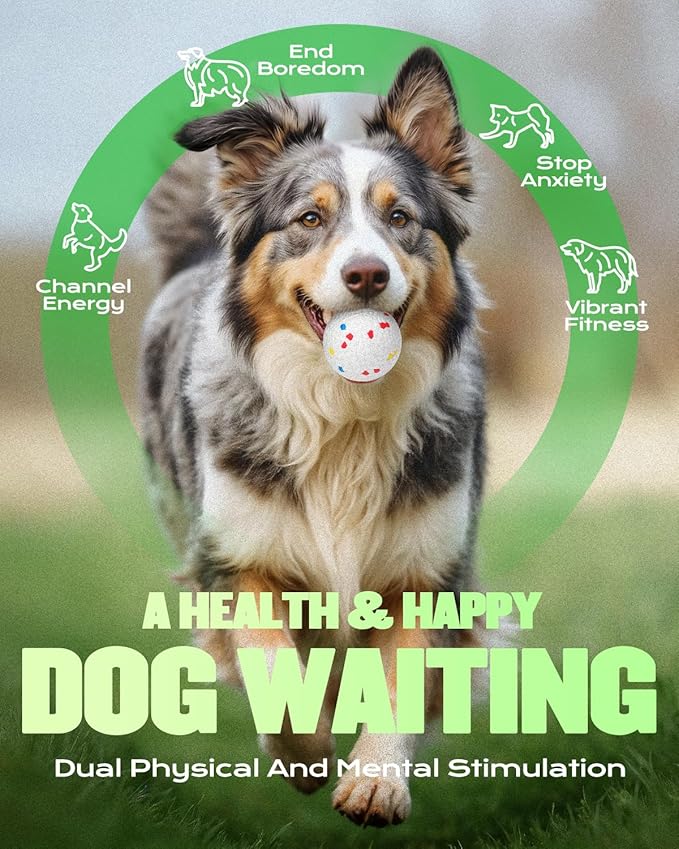 Automatic Dog Ball Launcher, Ball Thrower for Dogs - 6 Tennis Balls