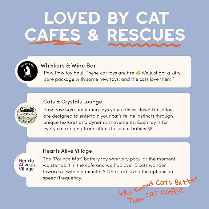 Pounce Mat Interactive Cat Toy – Indoor Hunting Game by Paw Paw | Hide & Seek Moving Ball, Motion-Activated Rolling Ball with Bunny Ears & Mouse Tail, 2-in-1 Play Mat