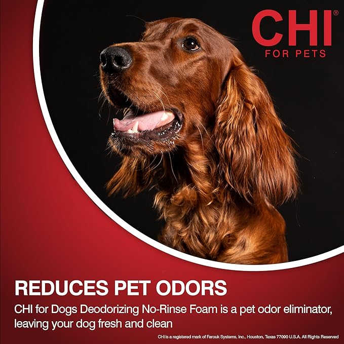 CHI for Dogs Deodorizing No-Rinse Foam - Dry Shampoo and Odor Eliminator for Dogs - Sulfate and Paraben Free - Made in USA - Waterless Pet Grooming Foam, Pump Bottle, 8 Fl Oz