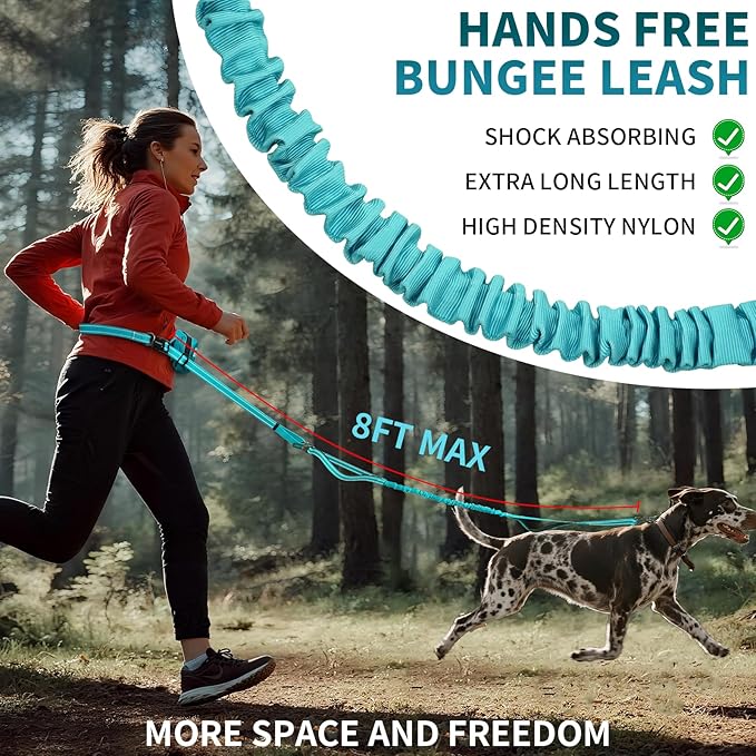 Hands Free Dog Leash with Removable Zipper Pouch, Dual Padded Handles and Durable Bungee for Walking, Jogging and Running Green