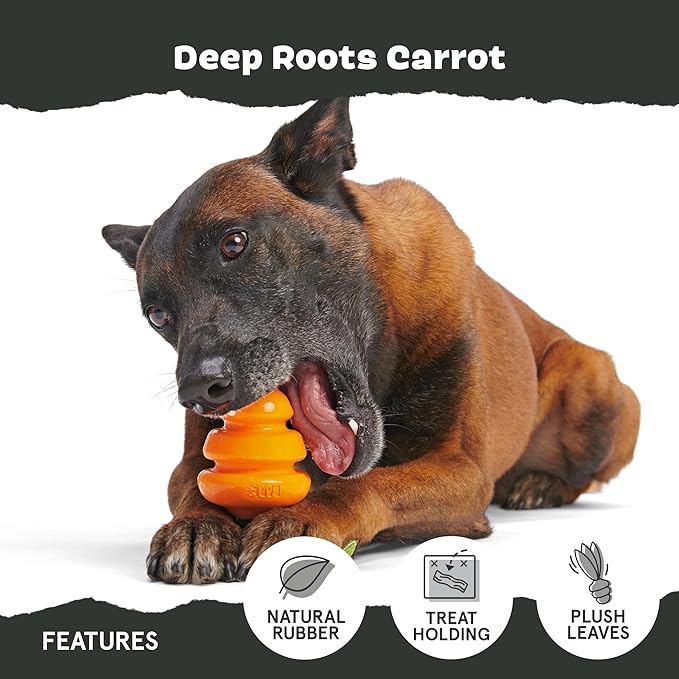 Barkbox Super Chewer Tough Dog Chew Toys for Aggressive Chewers, Treat Dispensing (Carrot - Small)