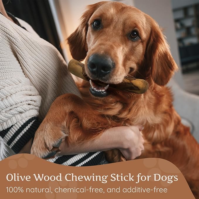 Wildfang® Olive Wood Chewing Sticks for Dogs, Large - Tough Chew Toys for Aggressive Chewers, Puppy Chew Toys for Teething, Training for Chewing Muscles, Olive Wood Stick for Dog (Over 55lbs)