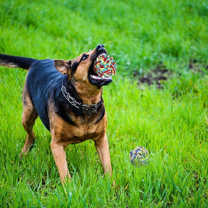 15pc Heavy Duty Dog Rope Toys Tough Tug of War Dog Toys, 100% Cotton Tug Toy for Boredom for Large/Medium/Small Dogs for Chewing, Playing, Teething, Teeth Cleaning, Tossing and Catching.