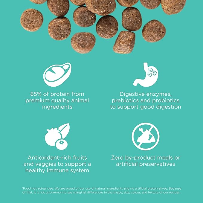 Go! Solutions Carnivore, Grain-Free, Protein Rich Dry Dog Food, Chicken, Turkey and Duck Adult Recipe, 3.5 lb Bag