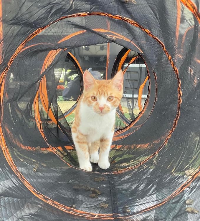 Catio Outdoor Cat Enclosures for Indoor Cats, 4-in-1 Outside Large Playground Include Portable Cat Tent, for Cats and Other Pets