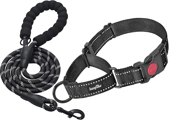 haapaw 2 Packs Martingale Dog Collar with Quick Release Buckle Reflective Dog Training Collars for Small Medium Large Dogs