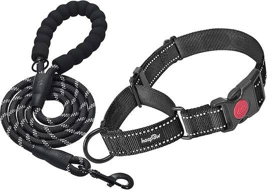 haapaw 2 Packs Martingale Dog Collar with Quick Release Buckle Reflective Dog Training Collars for Small Medium Large Dogs