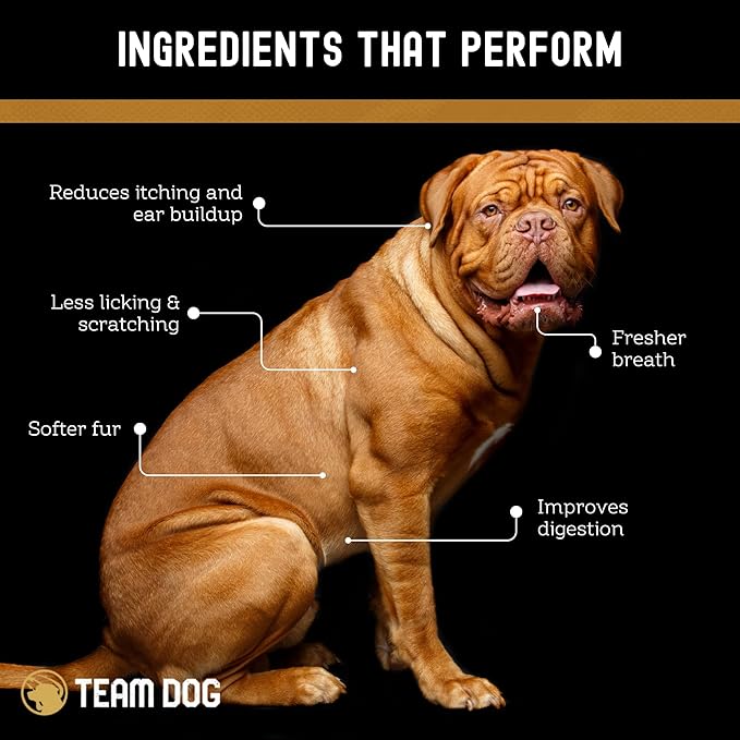 TEAM DOG Probiotic Chews for Dogs | Digestive Enzymes & Dog Probiotics for Yeast, Itchy Skin and Itchy Ears | for Allergies & Sensitive Stomachs | Promotes Digestive & Gut Health for Dogs | 120 Count