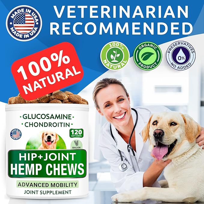 Hemp Chews Dogs Hip Joint Pain Relief - Glucosamine Chondroitin Hemp Treats for Joint Health - Dog Joint Supplement Large Breed & Small - Hemp Oil Pill - Canine Vitamin Treat Old Dog (240Ct/Bacon)