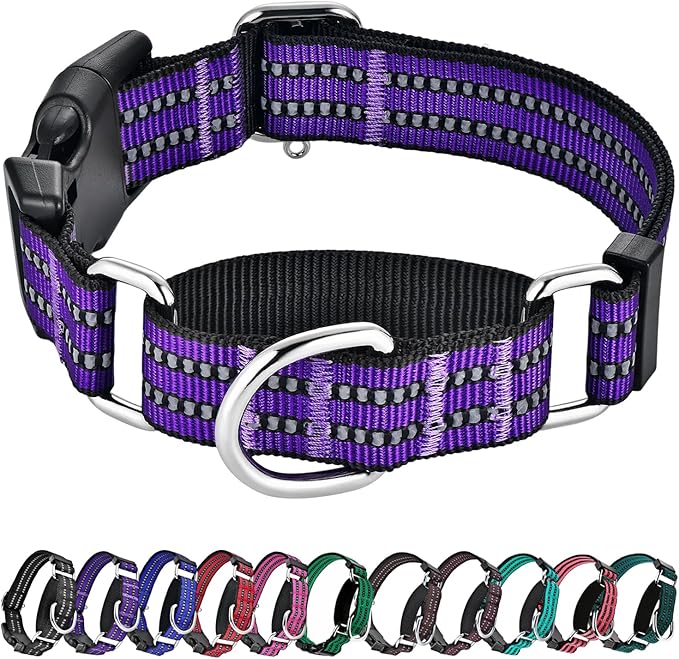 Hikiko Martingale Collar for Dogs Reflective Nylon Dog Collar with Quick Release Buckle Adjustable Training No Slip Dog Collars (Medium, Purple)
