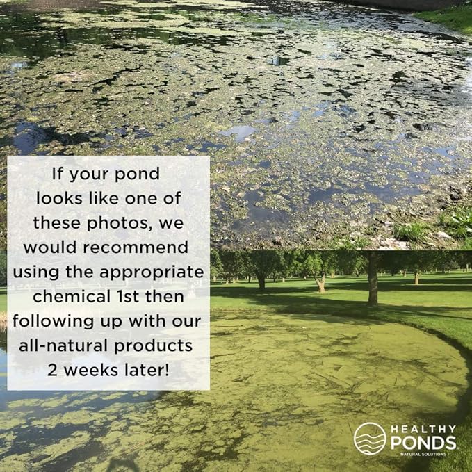 Healthy Ponds Aquasphere Pro Biodegradable Pond Treatment 2-Pack, Each Sphere Treats up to 12,500 Gallons