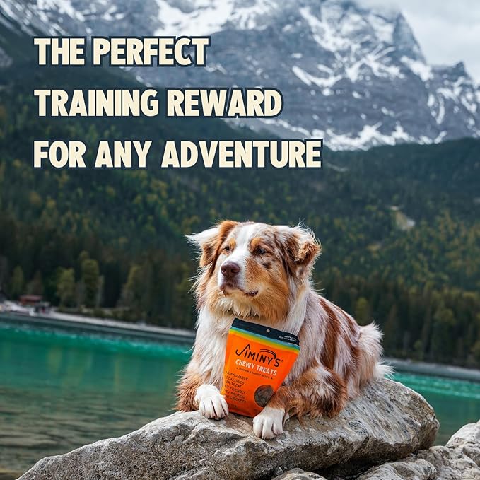 Jiminy's Chewy Cricket Training Treats for Dogs, Low Calorie, Hypoallergenic, Made in USA, 6oz, Pumpkin & Carrot (Pack of 1)