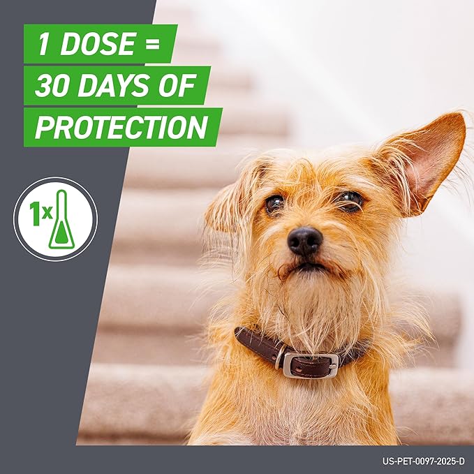 FRONTLINE Plus Flea and Tick Treatment for Large Dogs Up to 45 to 88 lbs. 8 Treatments