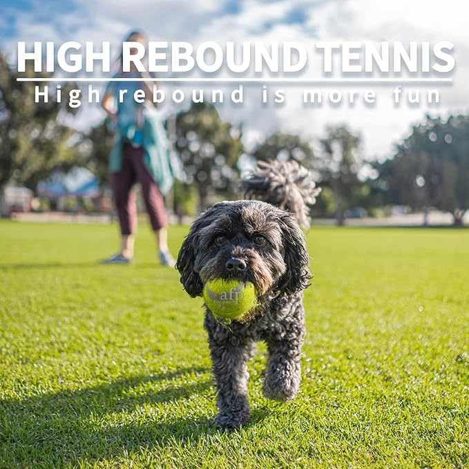 ALL FOR PAWS 2-inch Tennis Balls for Dogs, Fetch Toys for Small Medium Dogs, Bouncy & Durable Tennis Balls for Ball Launcher Toy, 6 Pack Fetch Toy for Outdoor Play
