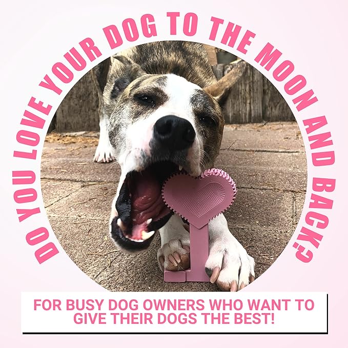 Bullibone Nylon Dog Chew Toy Nylon Bone - Improves Dental Hygiene, Easy to Grip Bottom, and Permeated with Flavor (Peppermint, Small - Single)