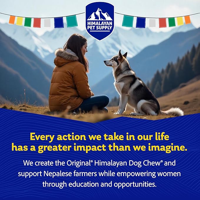 Himalayan Chew Original Yak Cheese Chew, Bacon, 1 Large Stick, 3.3 oz, Gluten Free, Healthy Treats, Grain & Lactose Free 100% Natural, Long Lasting Chews for s Under 55 lbs