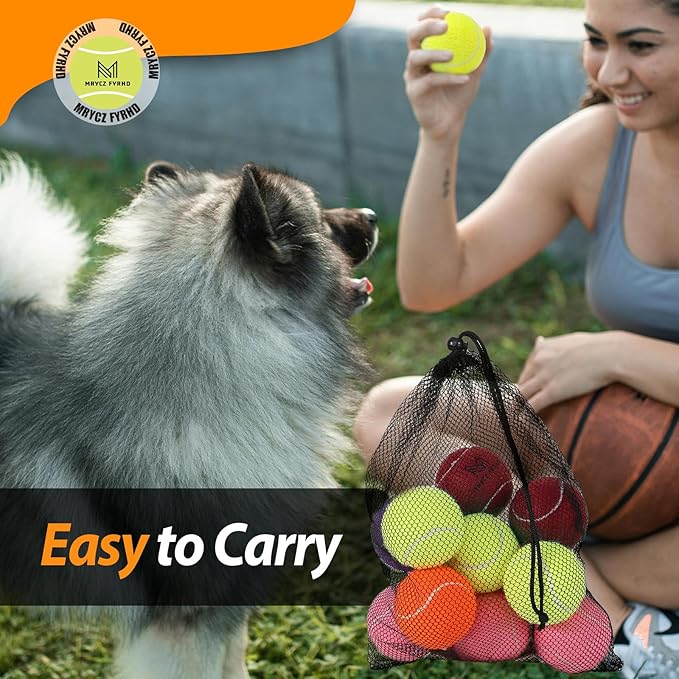 Tennis Ball Dog Toys 2 Pack - Giant 4-Inch Durable and Safe Fetch Tennis Ball for Dogs with Mesh Bag, Large Dog Tennis Balls Perfect for Indoor and Outdoor Interactive Play