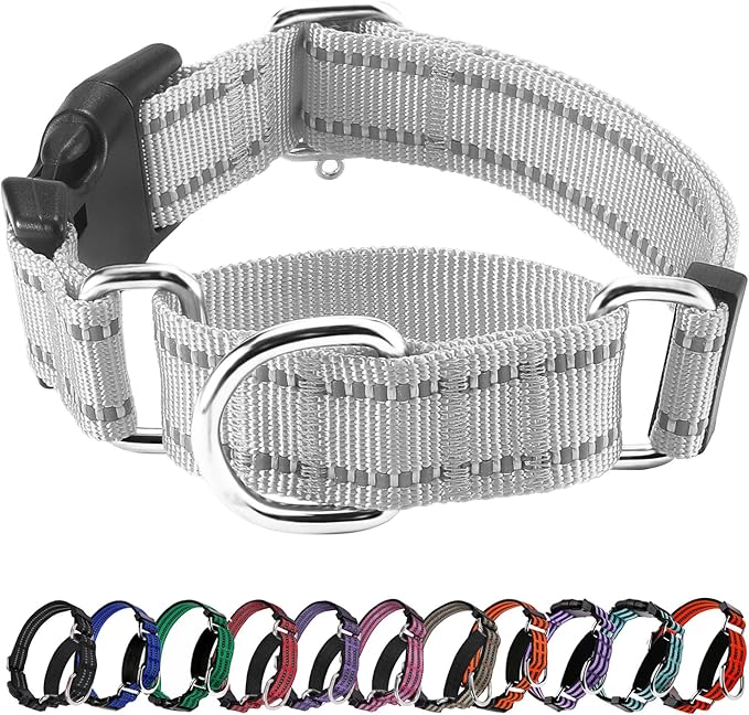 Hikiko Reflective Martingale Collar for Small Dogs with Buckle Adjustable Training Walking No Slip Collars, Sliver Gray, S