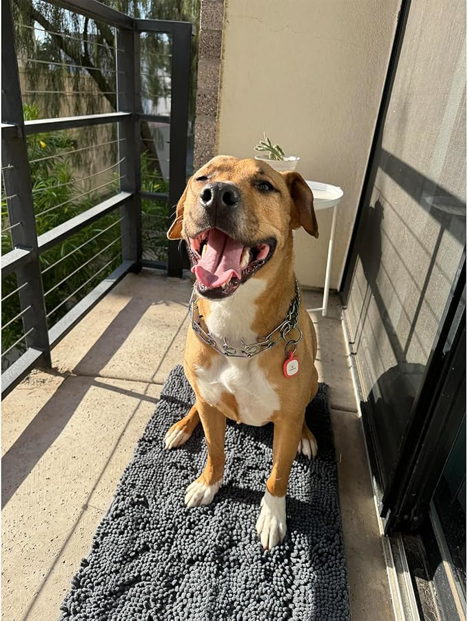 HOMEIDEAS Doormat Indoor Entrance, 48"x30", Highly Absorbent Chenille Large Muddy Dog Washable Non Slip Front Welcome Door Mat for Entryway, Grey