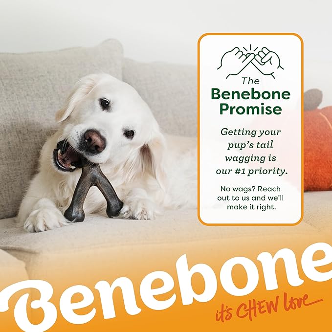 Benebone Pumpkin Spice Wishbone – Limited Edition Flavor, Durable Dog Chew Toy for Aggressive Chewers, Made in USA, Small