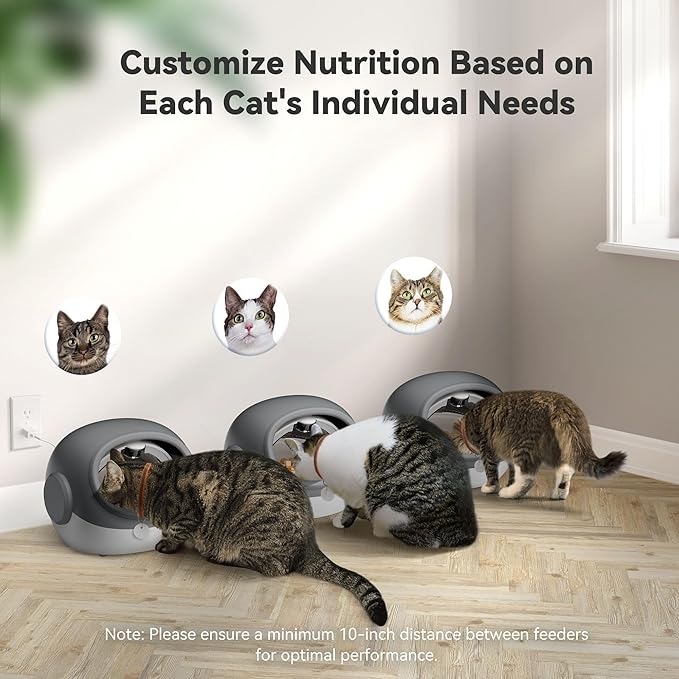 Upgraded RFID Cat Feeder with Collar Sensor – 4 Feeding Modes, Anti-Theft Pet Feeder for Multi-Cat Households, Timed Collar-Activated Feeder for Special Diets & Portion Control (2 Collar)
