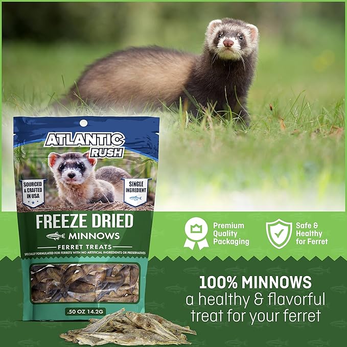 Freeze Dried Small Pet Treats - Resealable Bag of Treats for Ferrets - Ferret Snacks - Single Ingredient Ferret Food With No Preservatives Or Fillers- Small Animals Treats (.5oz, Minnow)