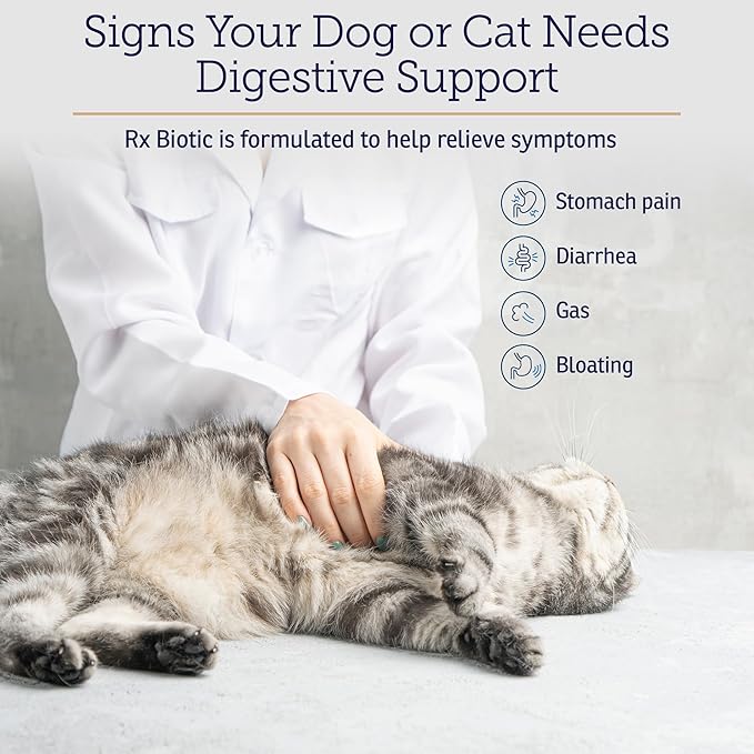 Rx Vitamins Rx Biotic - Probiotic Powder for Dogs and Cats - Cat Digestive Support & Probiotic for Dogs Gut Health - Dog Probiotics for Digestive Health - 1.25oz