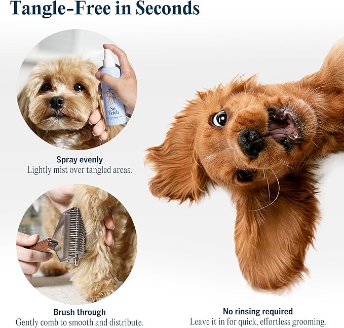 FlyDog Pet Detangler Spray for Dogs & Cats – Leave-in Hair Detangler Spray for Tangle-Free Grooming | Dog & Cat Coat Conditioner | Anti-Static, Deodorizing & Long-Lasting Freshness