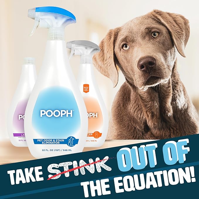 POOPH Pet Odor Eliminator and Litter Box Deodorizer - 2x32oz Bottles - Instant, Safe, Fragrance-Free, Clear, Non-Staining, Unscented