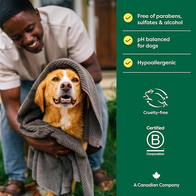 Earth Rated 3-in-1 Soothing Dog Shampoo and Conditioner, Deodorizing Oatmeal Shampoos for Dogs and Puppies, Great for Smelly Pets, White Tea and Basil Scent, 16 oz