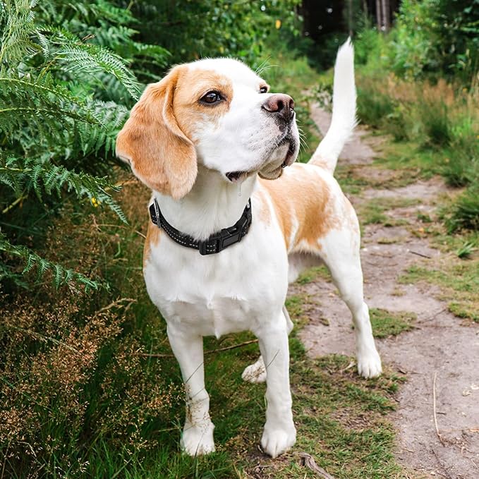 Hikiko Martingale Collar for Dogs Reflective Nylon Puppy Dog Collar with Quick Release Buckle Adjustable Training No Slip Dog Collar (X-Small, Black)