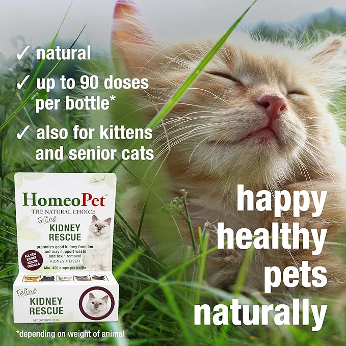 HomeoPet Feline Kidney Rescue, Safe and Natural Renal Supplement for Cats and Kittens, 15 Milliliters