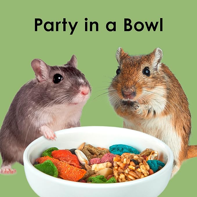 Kaytee Fiesta Hamster & Gerbil Food, Nutritious and Fun Blend, Supports Dental Health and Digestion, 4.5 pounds