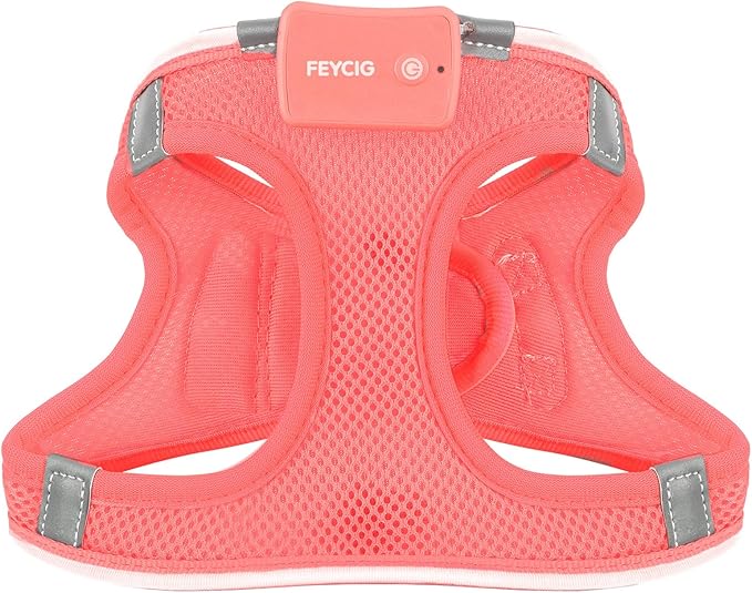 Light Up Dog Harness,Rechargeable LED Dog Harness for Small Medium Large Dogs,Reflective Lighted Safety Vest for Night Walking & Camping,Lightweight & Adjustable,Fluorescent Pink,S