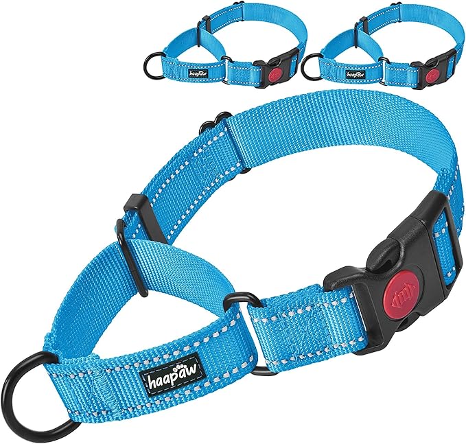 haapaw 2 Packs Martingale Dog Collar with Quick Release Buckle Reflective Dog Training Collars for Small Medium Large Dogs