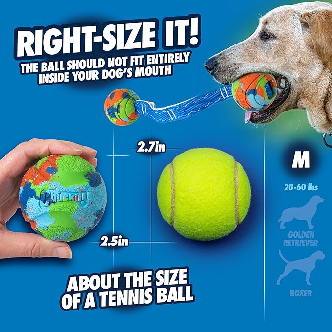 Chuckit! Limited Edition EcoFetch Ball Dog Toy, Medium (2.5 Inch Diameter) Pack of 3, for Breeds 20-60 lbs