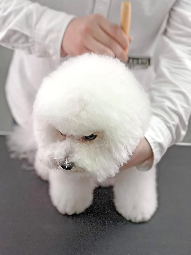 Wooden Slicker Brush - Stainless Steel Hard Pin Grooming Brush for Short-Haired Pets (Size L)