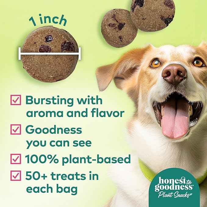 Honest to Goodness Plant Snacks Buddy Boost Cranberry & Pomegranate Recipe Dog Treats, Enriched with Omega 3s & Postbiotics, 8oz