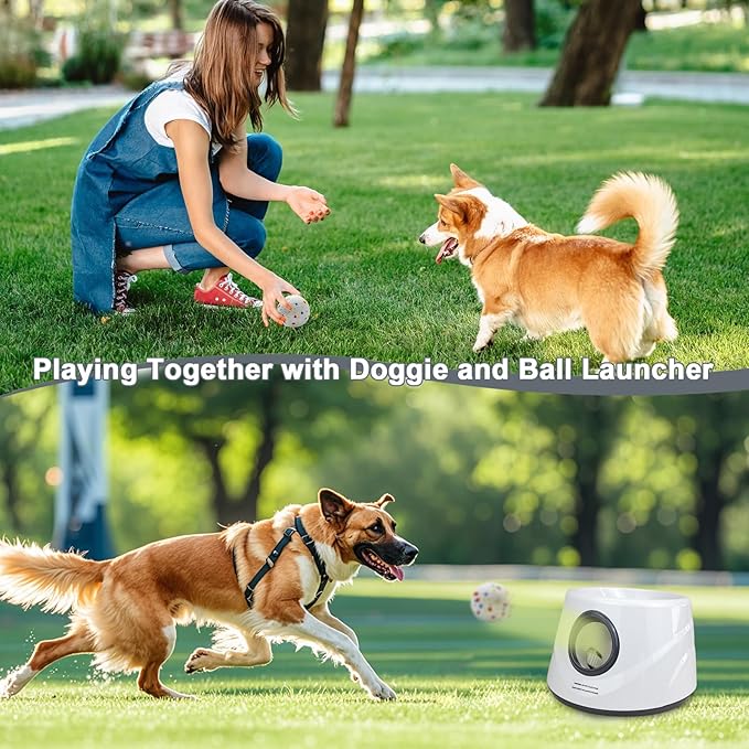 Dog Toy Balls 2.2 Inch, Indestructible Dogs Balls 6 Pack for Aggressive Chewers, Durable Interactive Toys for Small and Medium Puppy, Perfect for 2.2 Inch Automatic Dog Ball Launcher (ETPU Material)