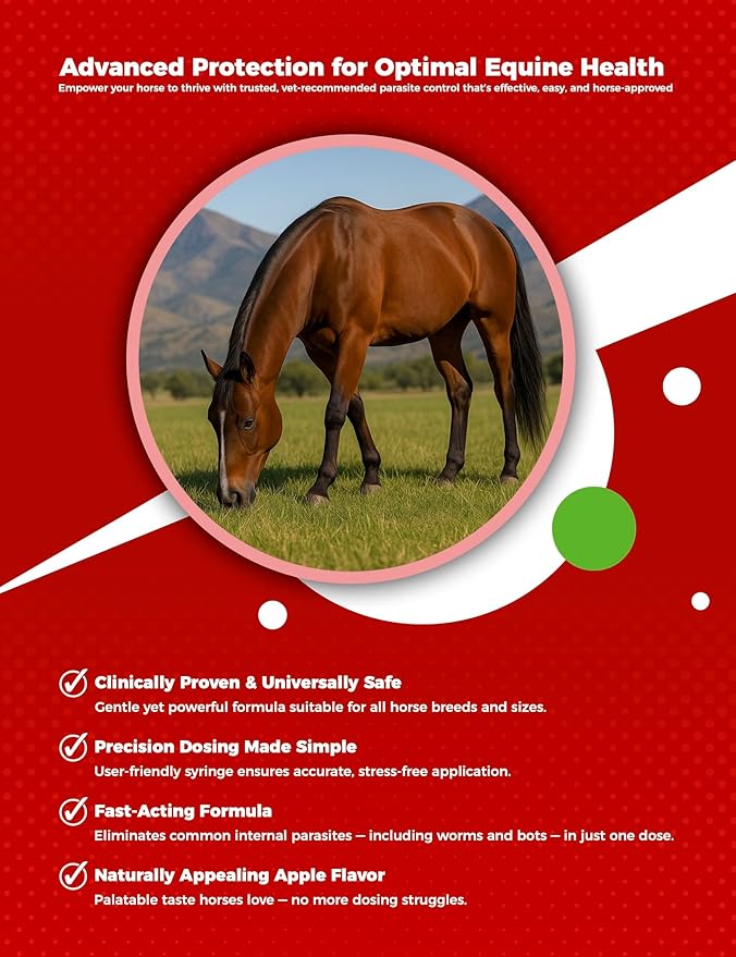 Ivermectin Horse Paste 1.87% – Apple Flavored – 6.08g Tube – for Horses Up to 1250 lb - 1 Pack