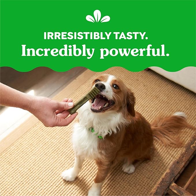 Greenies Original Petite Dental Dog Treats, 36 oz. Pack (60 Treats)