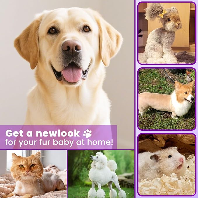 Dog Clipper 4-in-1 Grooming Kit – Includes Comb, Paw Trimmer, Nail Grinder, Rechargeable & Wireless Design, Low Noise, IPX7 Waterproof, Pet-Friendly Clipper (Purple)