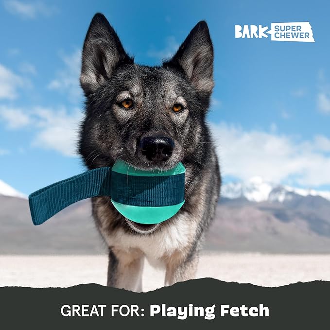 Barkbox Super Chewer Rope Dog Toy for Aggressive Chewers with Reinforced Strap (Tailspin - Large)