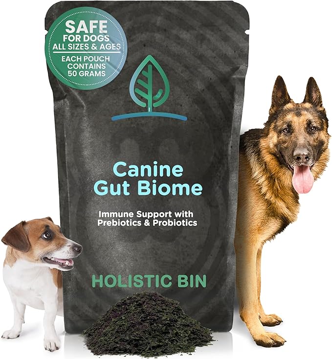 HOLISTIC BIN Canine Gut Biome Powder – Prebiotics & Probiotics for Dogs with Enzymes – Dog Vitamins & Multivitamin for Gut Health – Enzyme Powder Supplement – for Digestive Support - 50 Grams